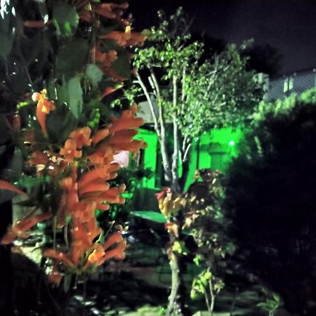 Last Chance Cafe And Guest House Ришикеш Экстерьер фото