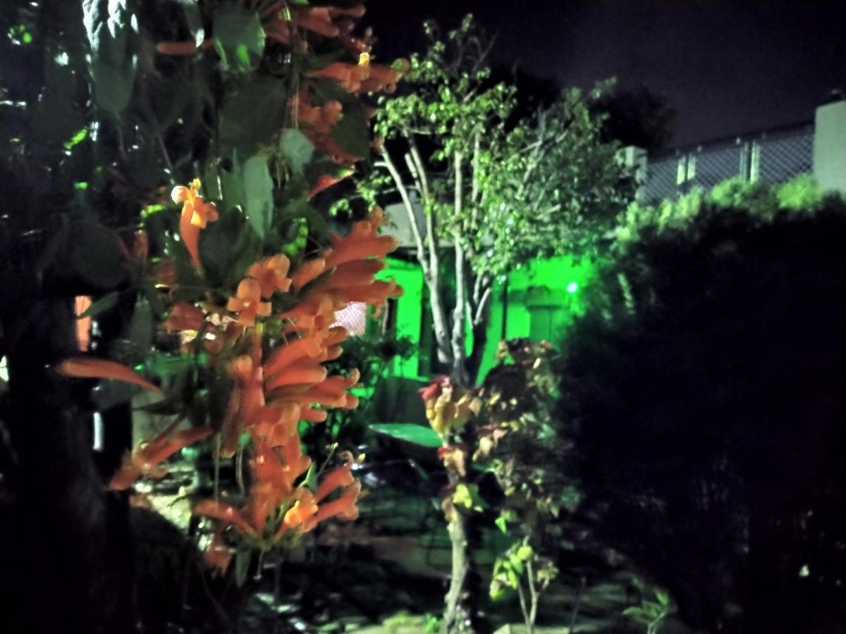 Last Chance Cafe And Guest House Ришикеш Экстерьер фото